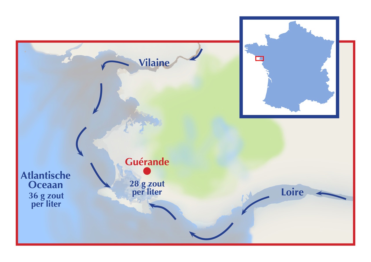 De zoutbassins vanwaar Keltisch zeezout afkomstig is, hebben te maken met de vervuiling van de Loire en de Vilaine.