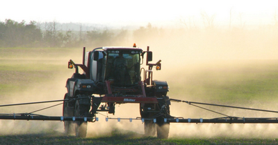 Soy unhealthy: full of pesticides and chemicals