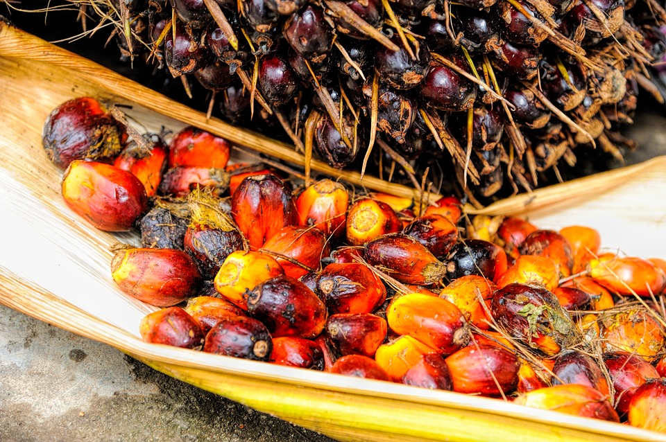 Vitamin E supplement? Choose natural tocopherol and tocotrienol from red palm oil