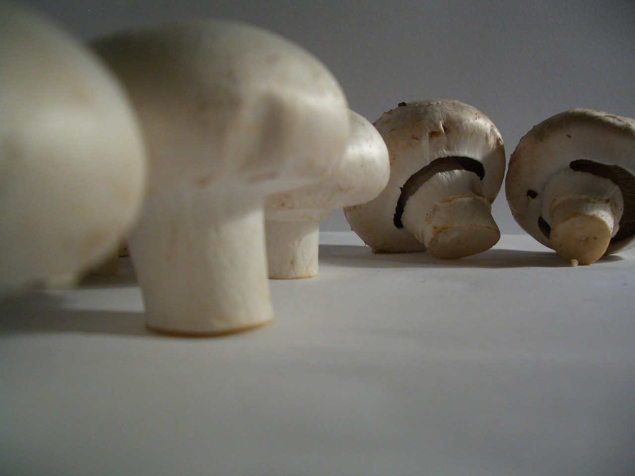 Agaricus-Pilz rech an Vitamin D