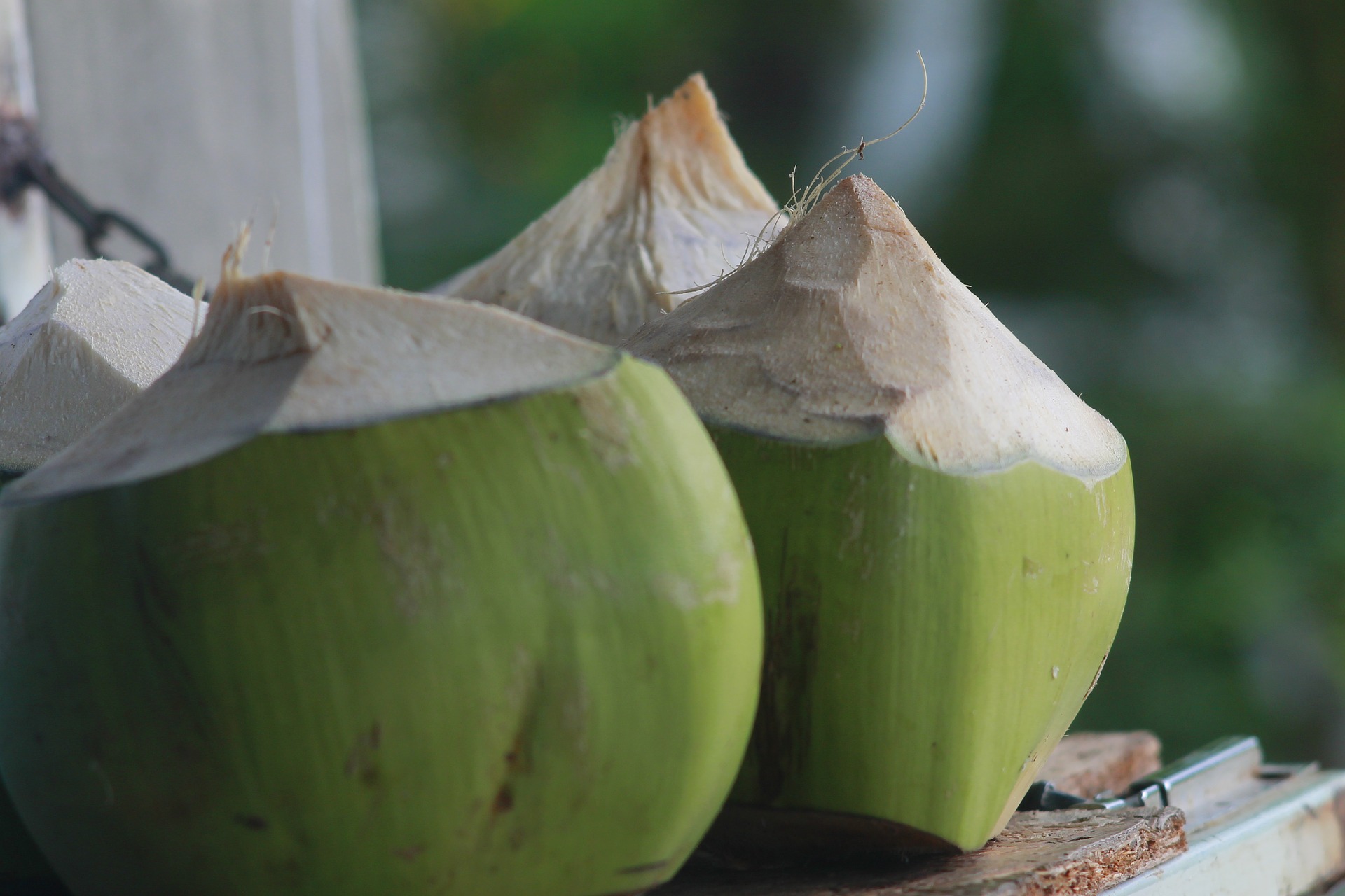 Verse kokosnoten met kokoswater