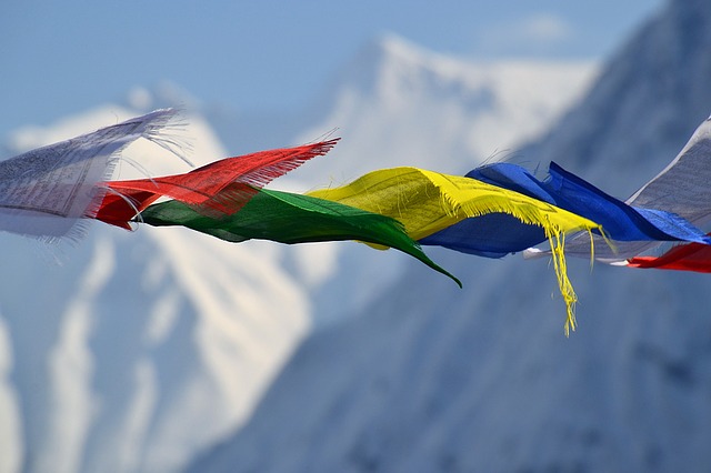 Nepalese flags in Nepal. In Nepal they call Shatavari the healer of a 100 sicknesses.