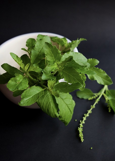 tulsi (heilige basilicum): Tulsi helpt je aanpassingsvermogen bij elke vorm van stress, depressie, angst. 