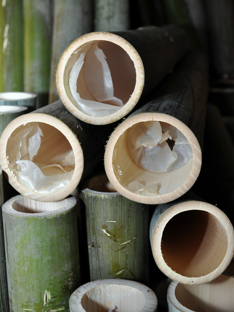 Bambou creux pour la fabrication du sel de bambou
