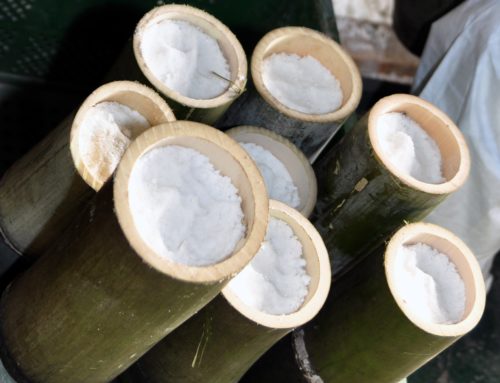 Le sel de bambou fait partie d’une alimentation saine.
