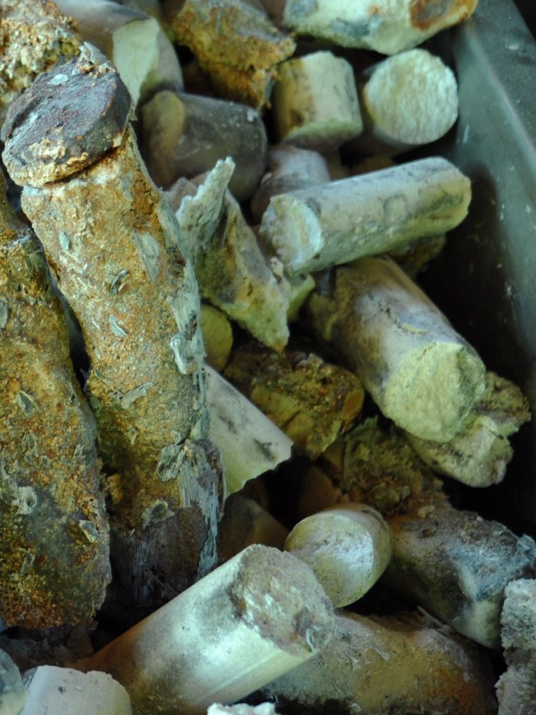 What is bamboo salt and what types are there? FOH