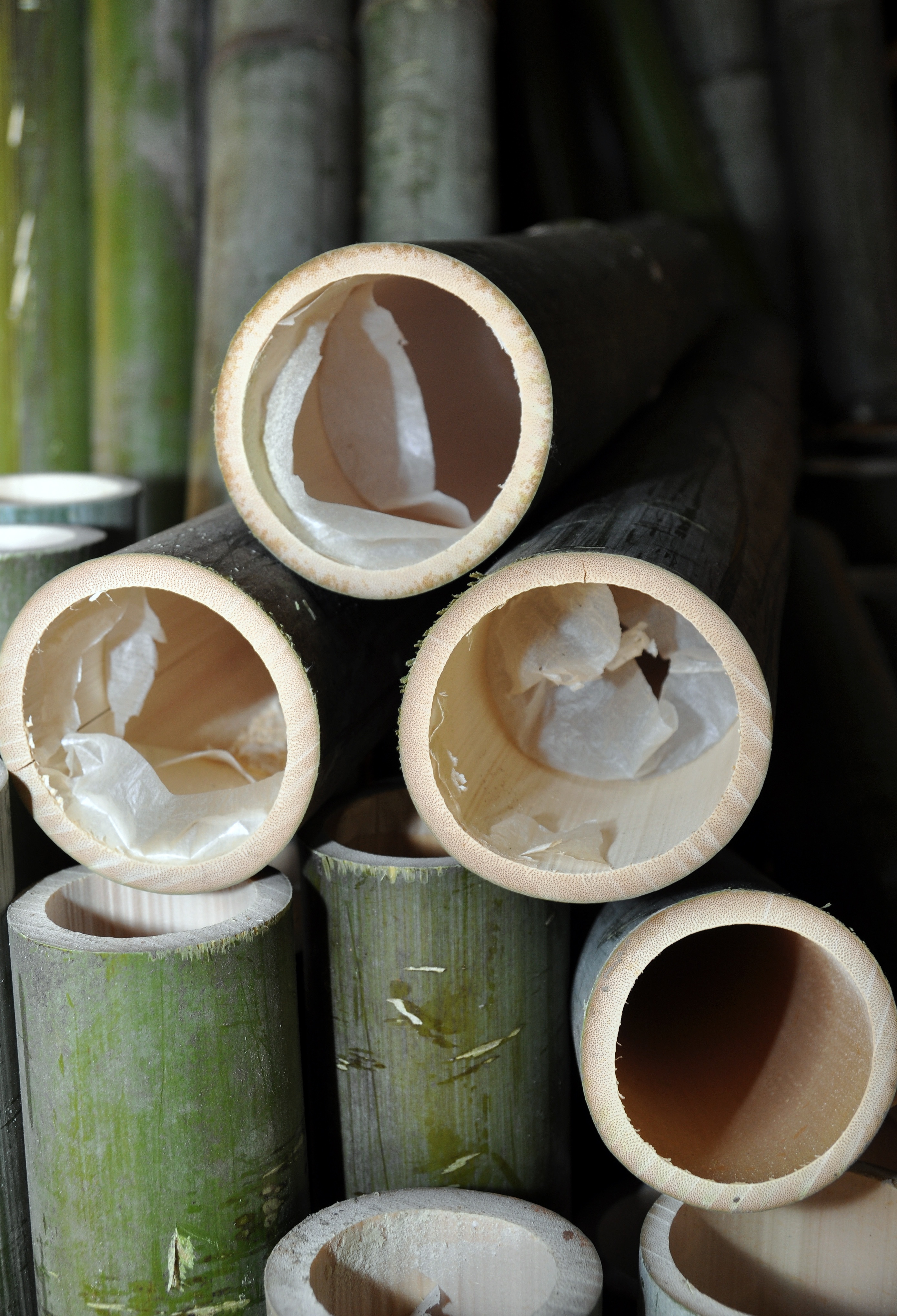 Langs de binnenkant van de bamboekokers zit van nature een vel. Dit vel is zeer rijk aan zwavel. 