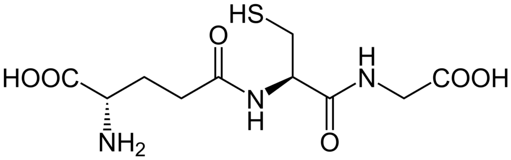 Structural formula of glutathione as a strong antioxidant in our bodies. …