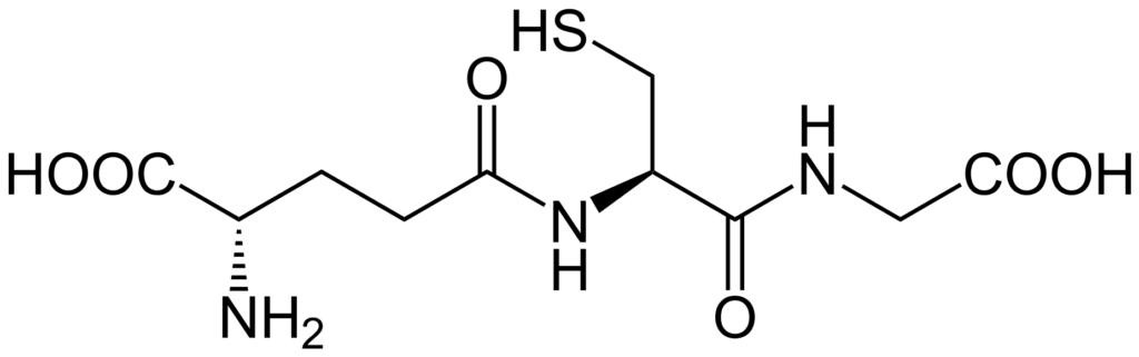 Formule structurale du glutathion, un puissant antioxydant dans notre corps.