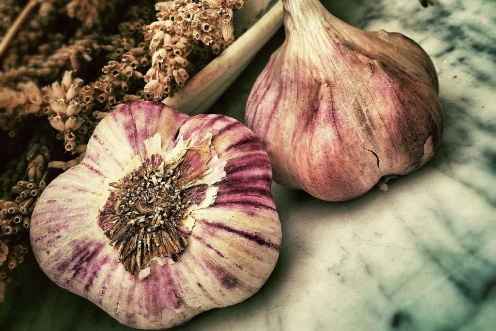 Garlic in the fight against cancer