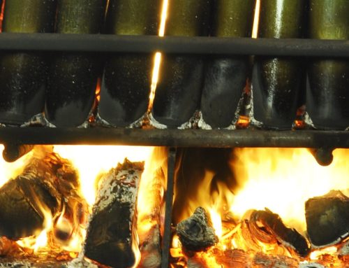Bamboezout als symbool van het element vuur.