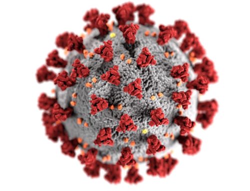 Dort wo viel Kokosöl oder allgemein viele Kokosnüsse verzehrt werden, beobachten wir sehr niedrige Todesraten für das Coronavirus (Covid-19).