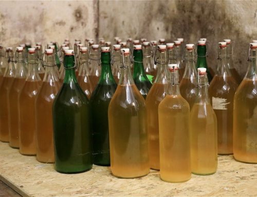 8 façons d’utiliser le vinaigre de pomme ou le vinaigre de vin. Découvrez …