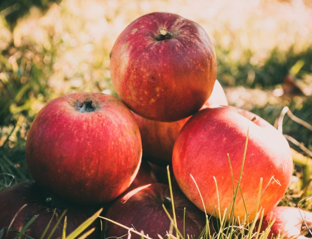 The history of apple cider vinegar. And what is it used for? FOH