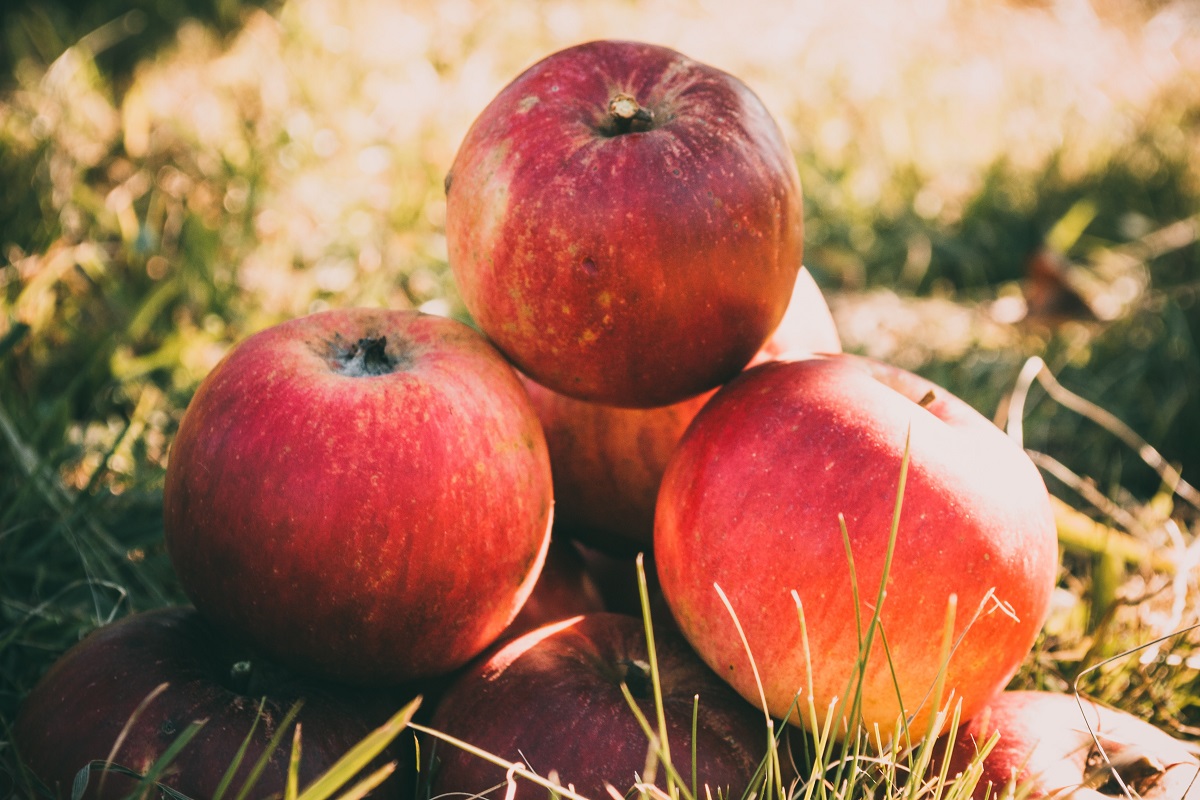 vinaigre de pomme à base de pommes biologiques avec la mère pour la santé