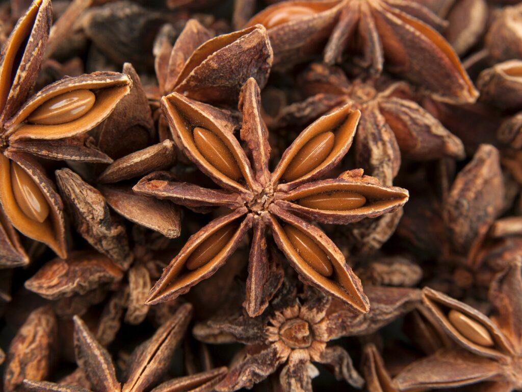 Star anise with a high dose of polyphenols