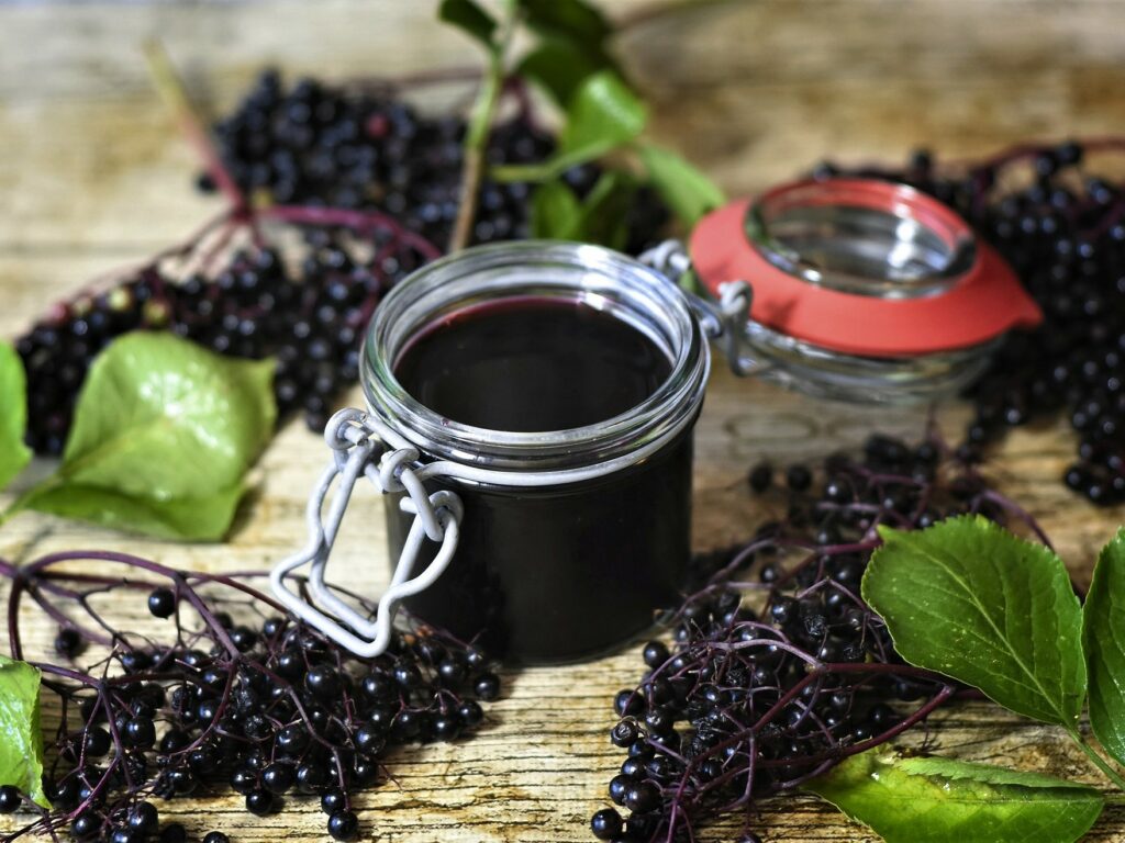 black elderberries are high in polyphenols