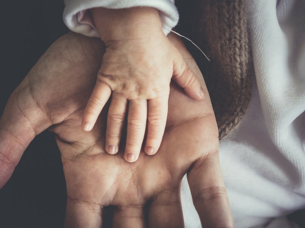 polyphénols pour la santé humaine