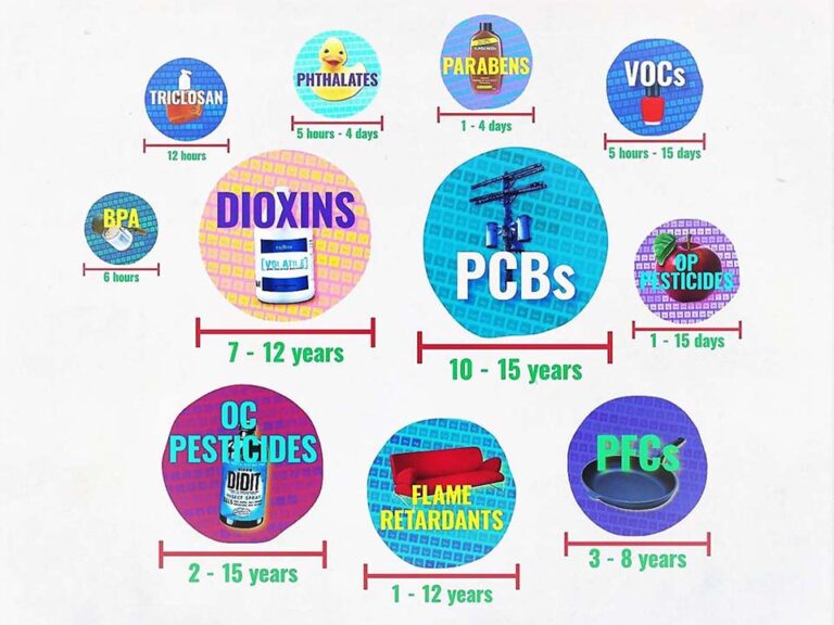 Wat is PFAS? Zit er PFAS in drinkwater in België en Nederland? Bart Maes